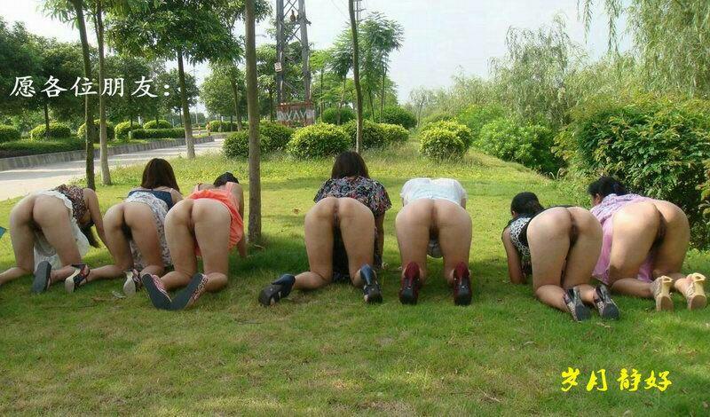 PHP脉聊交友系统网站源码 可通过功能+广告变现-聚义堂